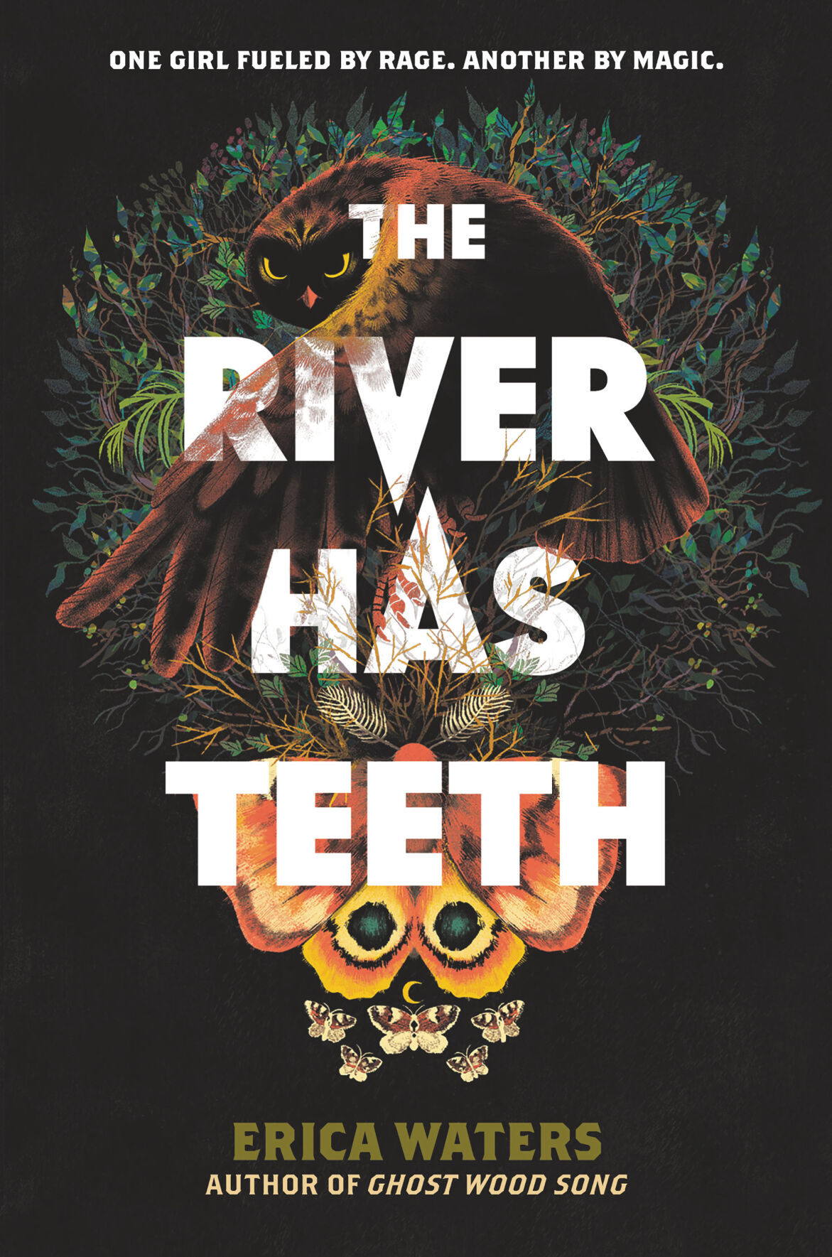 booksRiverHasTeeth-hc.jpg